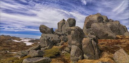 Rams Head Range - Kosciuszko NP - NSW T (PBH4 00 10719)